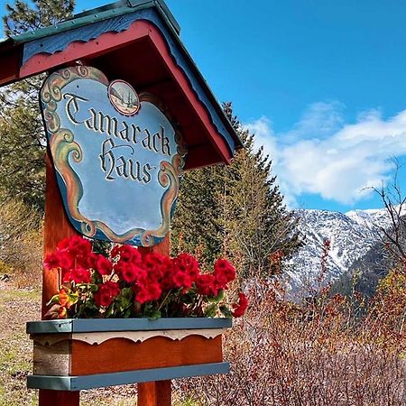 فيلا Tamarack Haus Hot Tub And Ev Charging Walk Dtwn! ليفينورث المظهر الخارجي الصورة